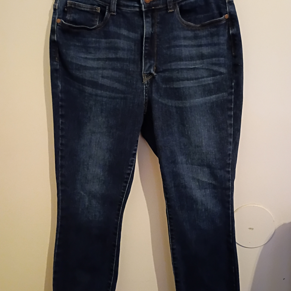 Judy Blue Indigo Wash Skinny Jeans